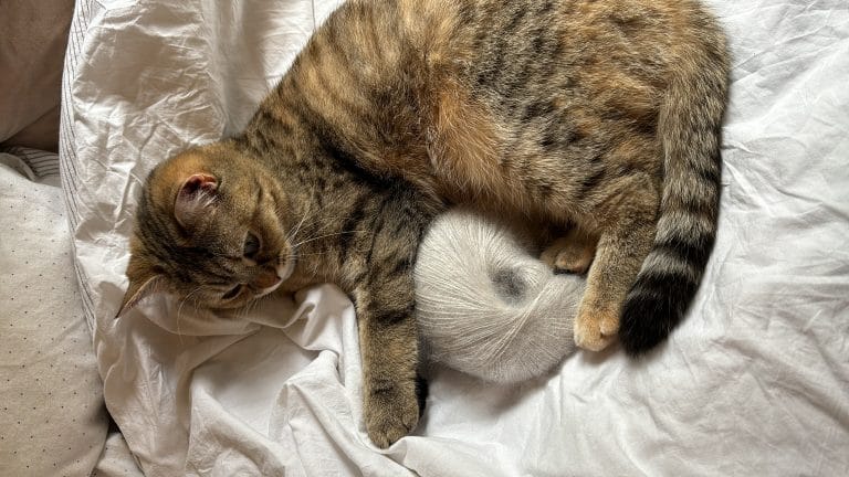 Yarn Weight – How to choose the correct yarn for your knitting project